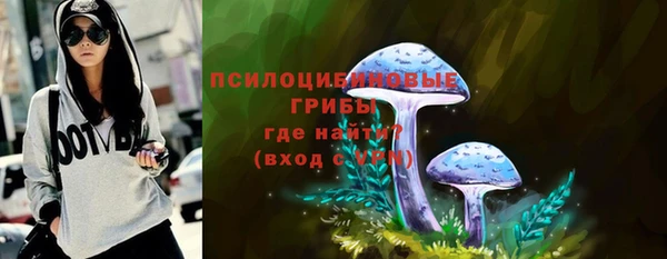 spice Бронницы