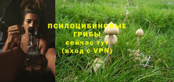 дурь Бугульма