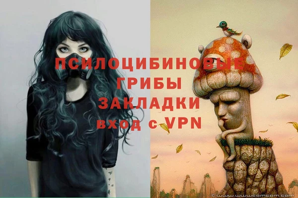 герыч Бородино