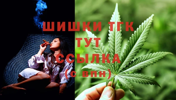 spice Бронницы