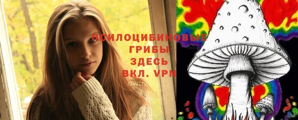герыч Бородино