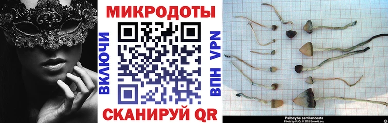 Купить  Судогда  Галлюциногенные грибы ЛСД 